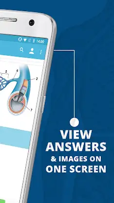 USMLE Clinical Anatomy screenshot 3