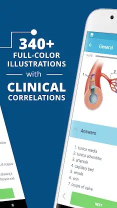 USMLE Clinical Anatomy screenshot 2