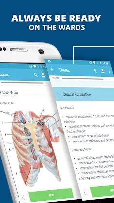 USMLE Clinical Anatomy screenshot 1