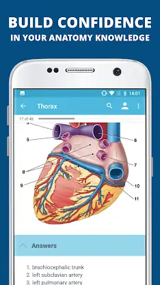 USMLE Clinical Anatomy screenshot 4