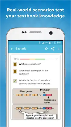 USMLE Microbiology Flashcards screenshot 1