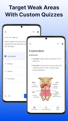 NBSTSA CST Exam Prep Mastery screenshot 5