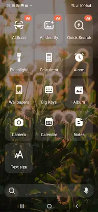 Big Homescreen screenshot 4