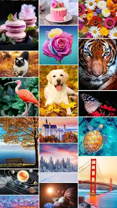 Jigsaw1000: Jigsaw puzzles screenshot 6