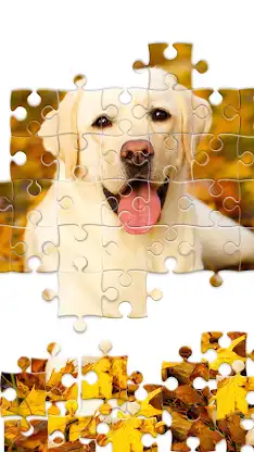 Jigsaw1000: Jigsaw puzzles screenshot 7