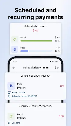 Sumlio: Expense & Budget screenshot 3