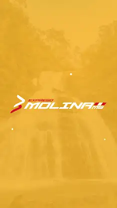 Molina MG screenshot 5