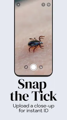 TickChecker screenshot 5
