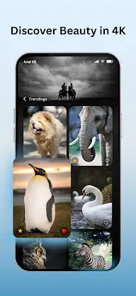 HD Animal Wallpapers 4K screenshot 8