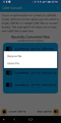 LQM To Text Converter screenshot 6