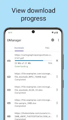 Download manager screenshot 2