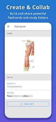 Memorang: Flashcards, Test Pre screenshot 4