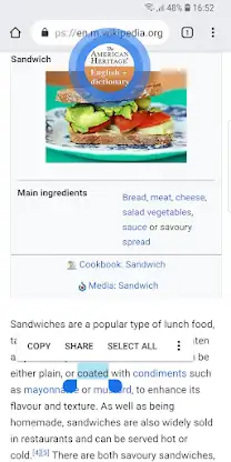 American Heritage Dictionary + screenshot 4