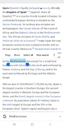 Concise Oxford Spanish Dict. screenshot 8