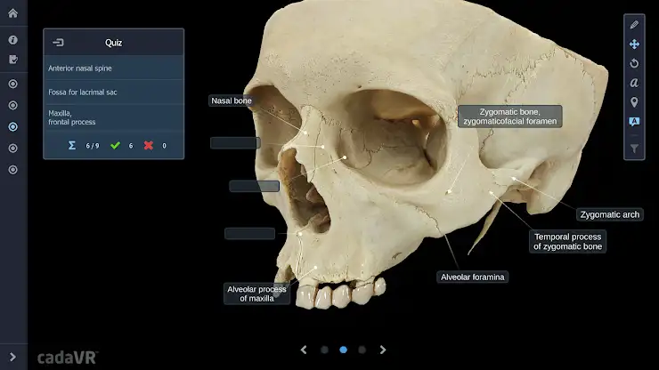 cadaVR anatomy screenshot 3