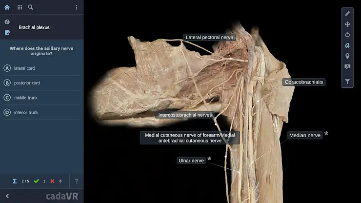 cadaVR anatomy screenshot 2