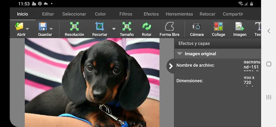 PhotoPad, Profesional screenshot 1
