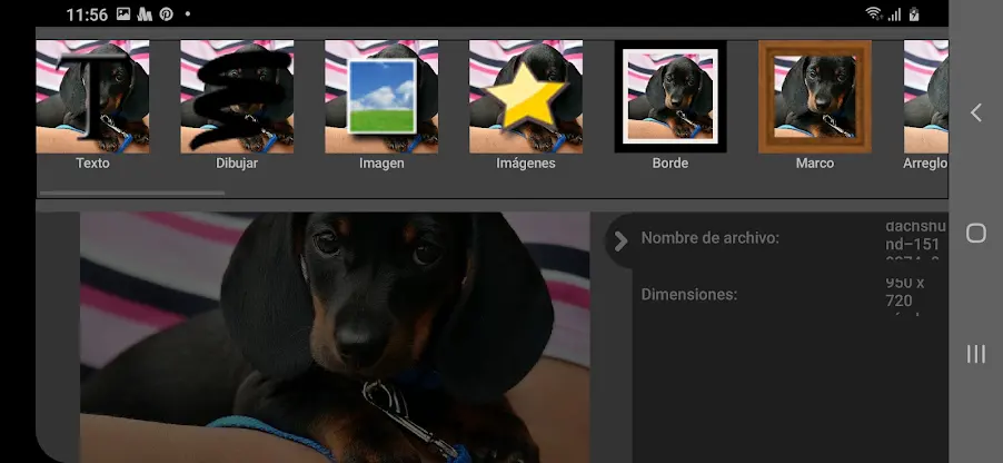 PhotoPad, Profesional screenshot 2