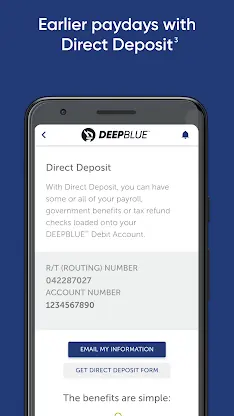 DEEPBLUE Debit screenshot 2