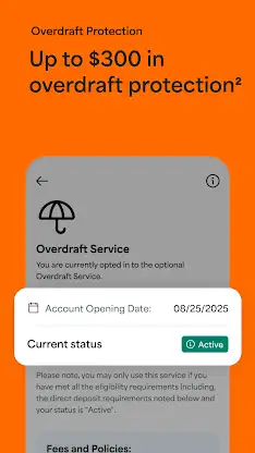 Netspend screenshot 3