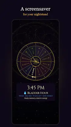 Qi Clock: Organ Meridian Time screenshot 6