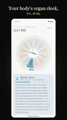 Qi Clock: Organ Meridian Time screenshot 1