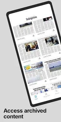 Superior Telegram E-paper screenshot 2