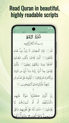 Quran Majeed – القران الكريم screenshot 4