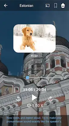 Learn Estonian. Speak Estonian screenshot 3