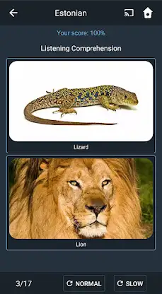 Learn Estonian. Speak Estonian screenshot 5