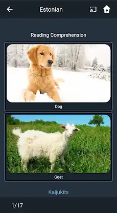 Learn Estonian. Speak Estonian screenshot 4