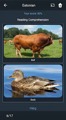 Learn Estonian. Speak Estonian screenshot 6
