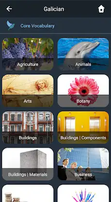 Learn Galician. Speak Galician screenshot 3