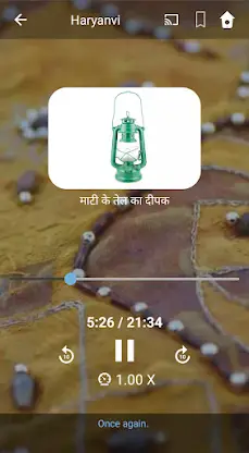 Learn Haryanvi. Speak Haryanvi screenshot 3
