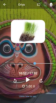 Learn Oriya. Speak Oriya. Stud screenshot 3