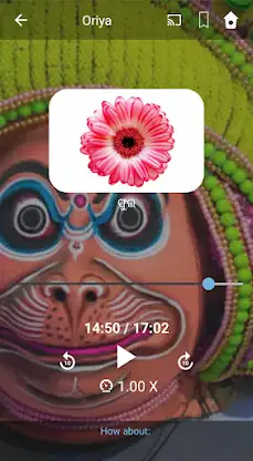 Learn Oriya. Speak Oriya. Stud screenshot 5