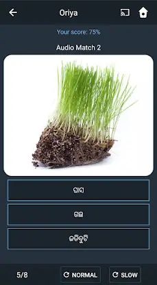 Learn Oriya. Speak Oriya. Stud screenshot 4