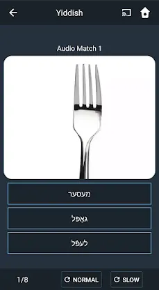 Learn Yiddish. Speak Yiddish.  screenshot 5