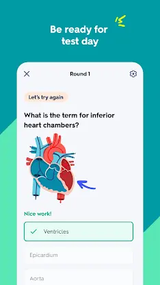 Quizlet: Study with Flashcards screenshot 3