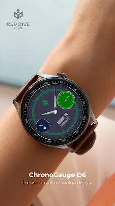 Reddice ChronoGauge D6 screenshot 6