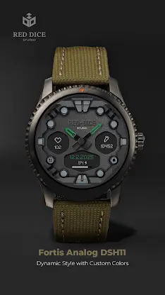 Fortis Analog DSH11 screenshot 2
