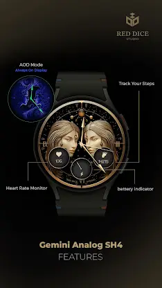 Reddice Gemini Analog SH4 screenshot 3