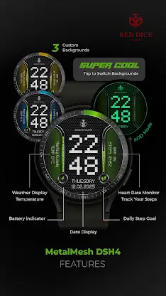 MetalMesh Digital DSH4 screenshot 2