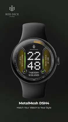 MetalMesh Digital DSH4 screenshot 6