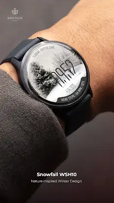 Reddice Snowfall WSH10 screenshot 5