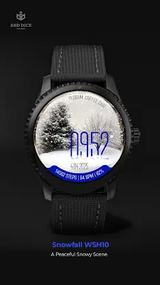 Reddice Snowfall WSH10 screenshot 7
