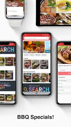BBQ Recipes: Grilled Meat screenshot 2