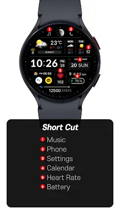 SamWatch Signature P.C. II screenshot 3