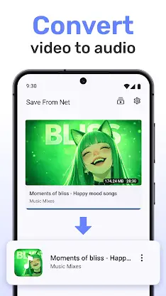 Save From Net Video Downloader screenshot 5