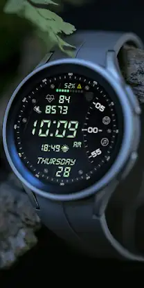 SP Digital 6 screenshot 5